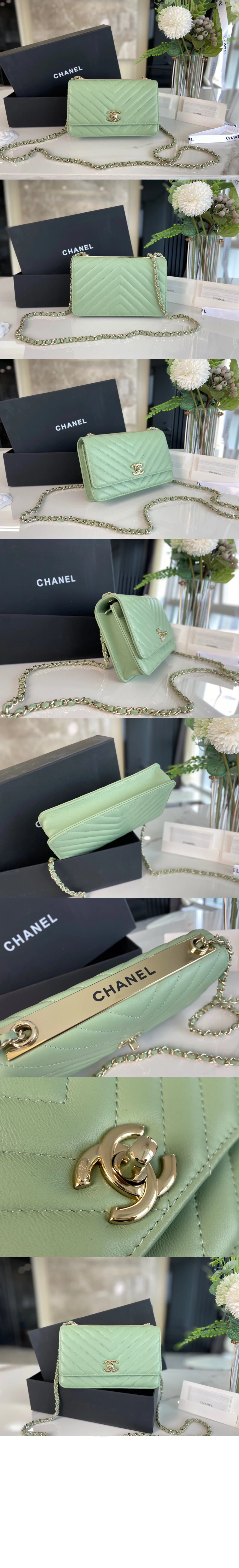 쉐브론 트렌디CC WOC (9color) 상세