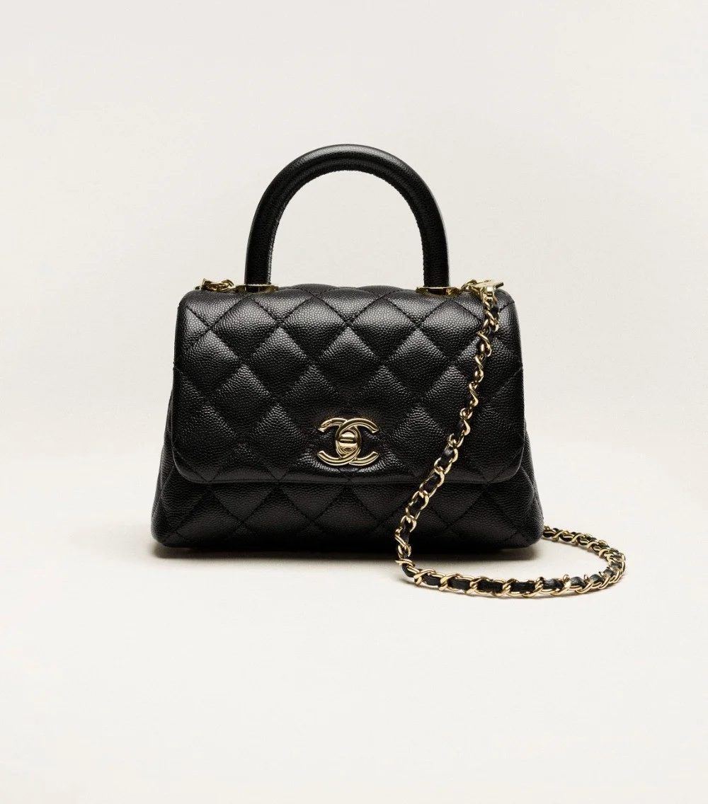 탑핸들 미니 플랩백 (2color)