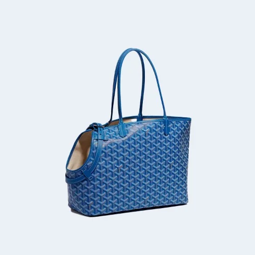 삭 시앙 그리 백 블루