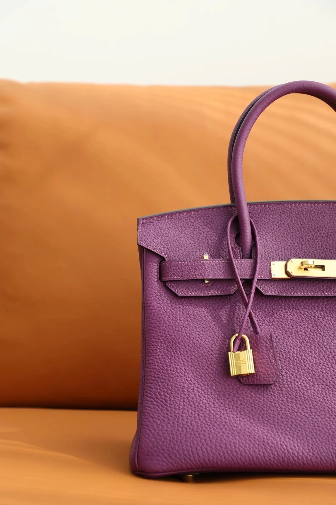 버킨 30 Anemone 토고 백 상세