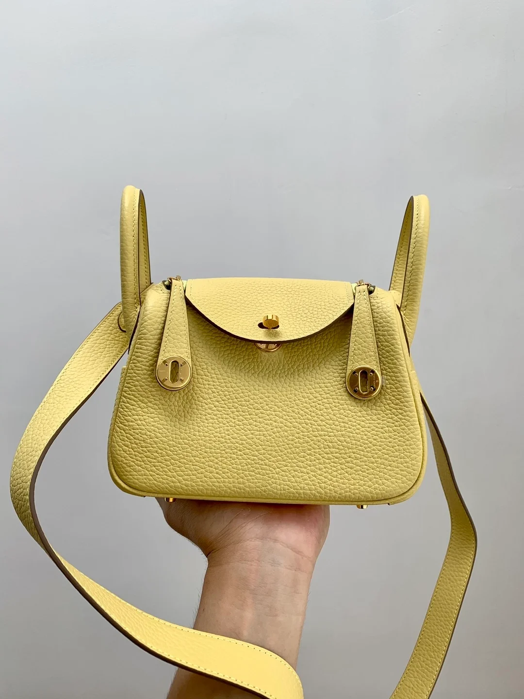 린디 미니 Jaune poussin 백 상세