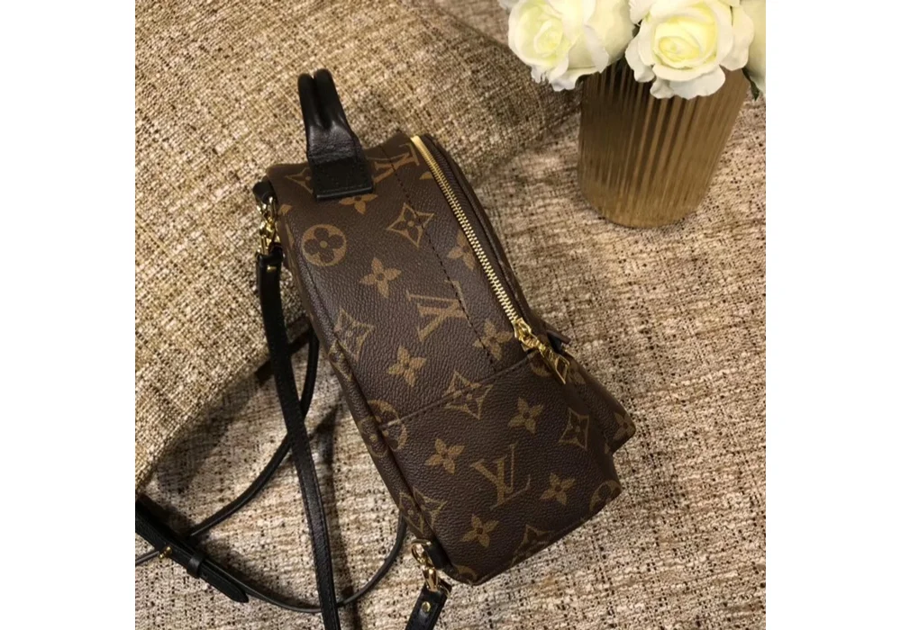 팜스프링 미니 백팩 M44873 상세