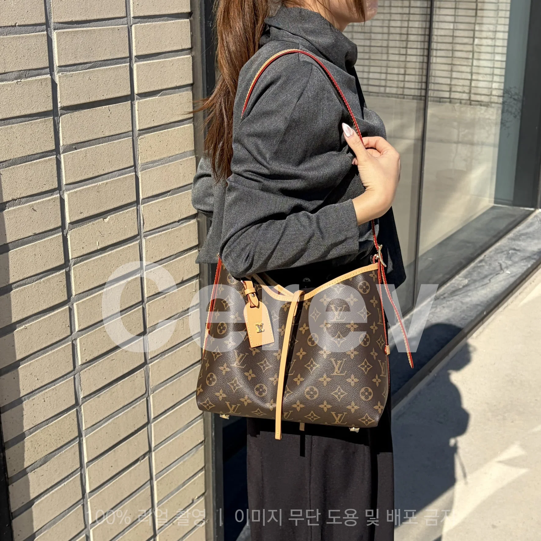 (당일배송) 캐리올 PM 상세