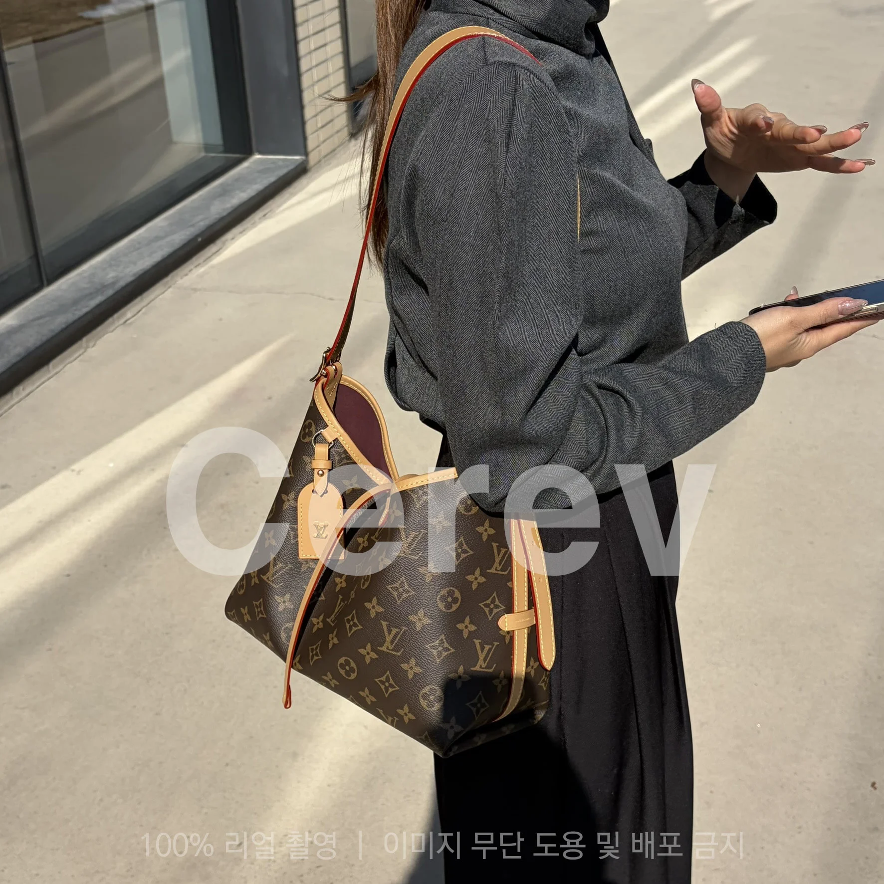 (당일배송) 캐리올 PM 상세