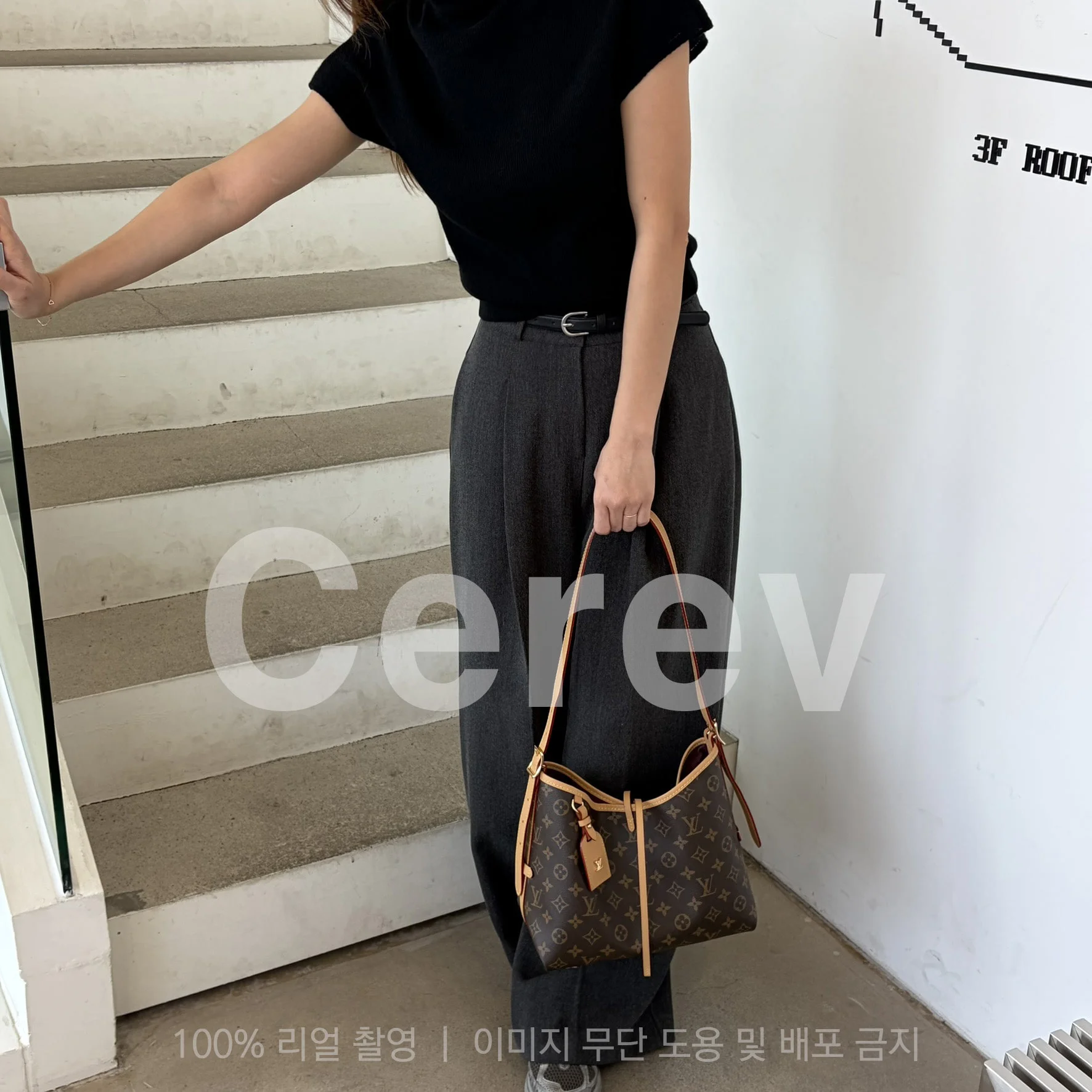 (당일배송) 캐리올 PM 상세