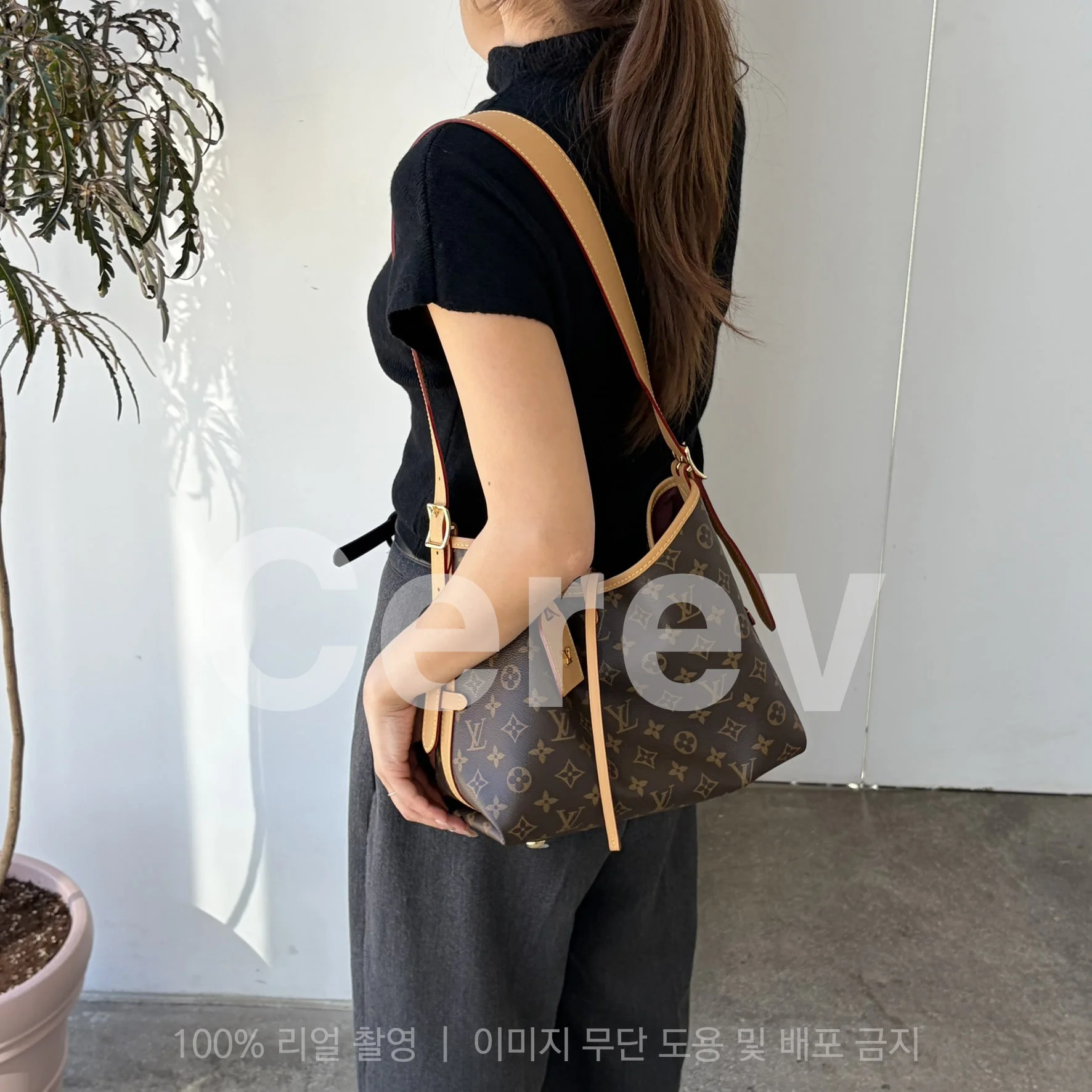 (당일배송) 캐리올 PM 상세