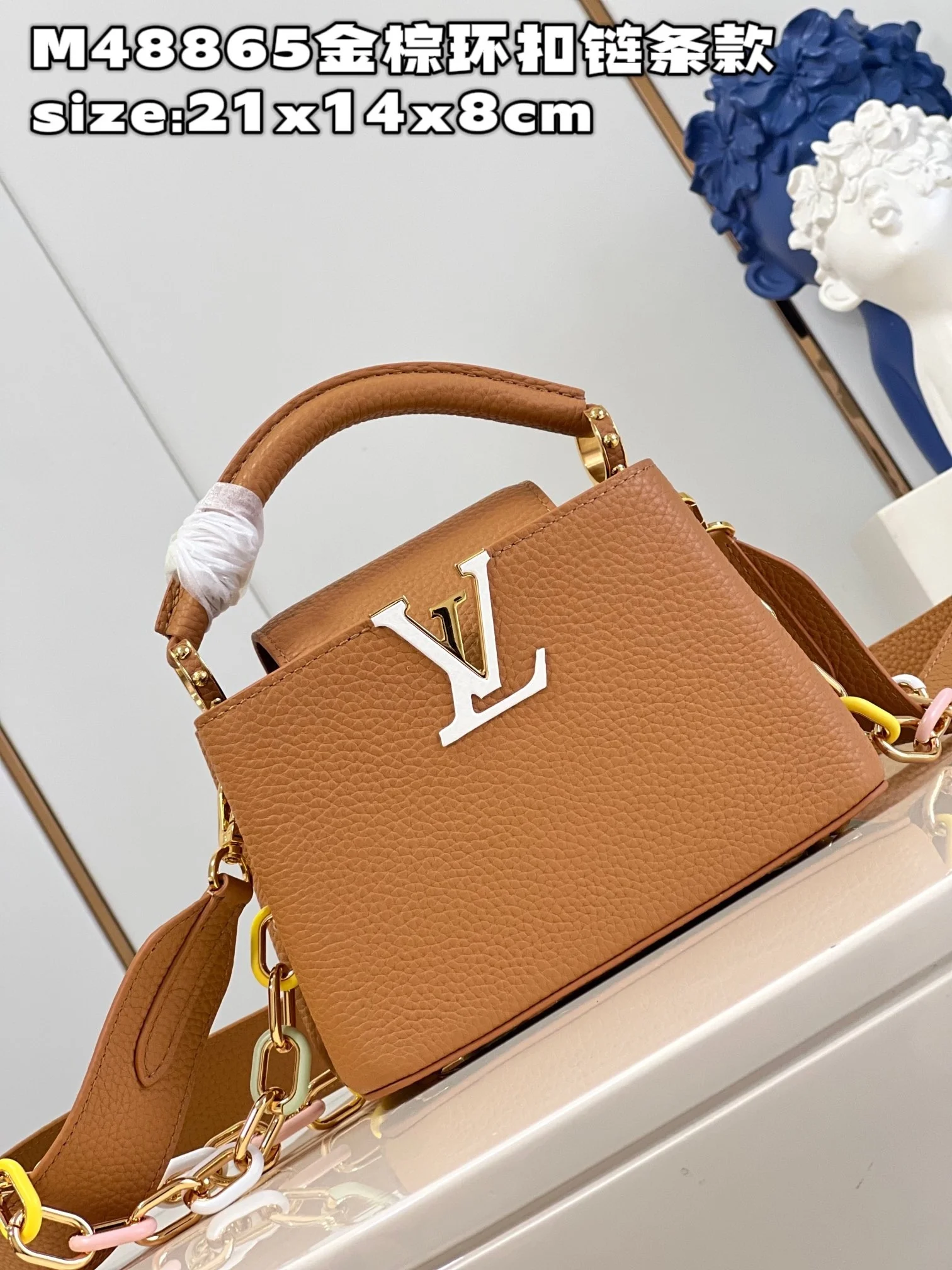 카퓌신 브라운 (미니/BB/MM) 상세