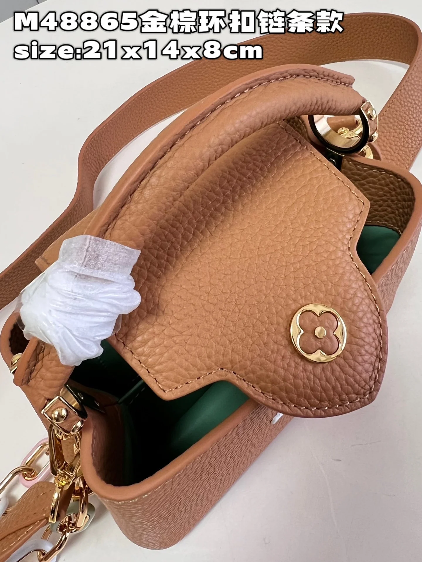 카퓌신 브라운 (미니/BB/MM) 상세