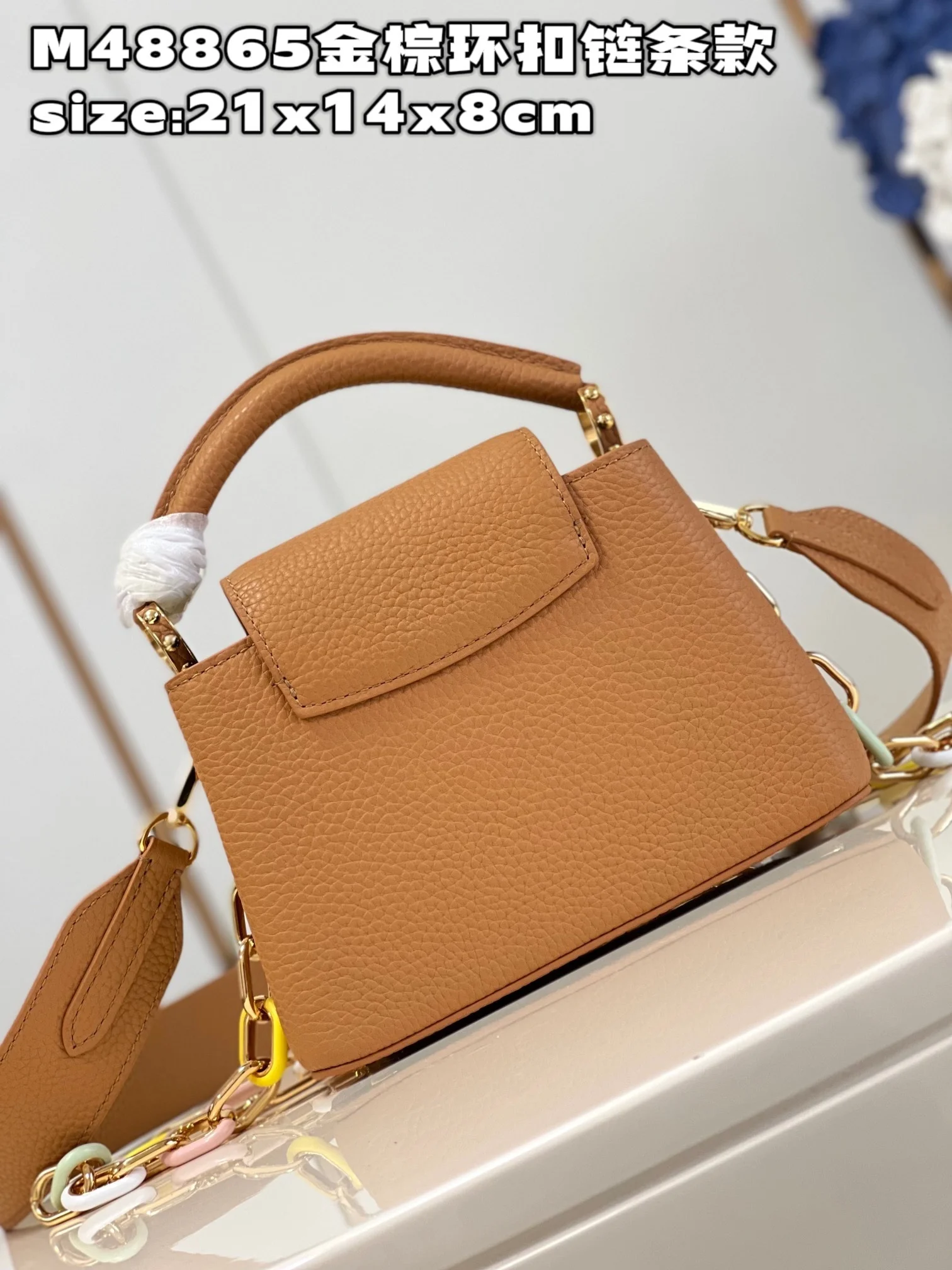 카퓌신 브라운 (미니/BB/MM) 상세