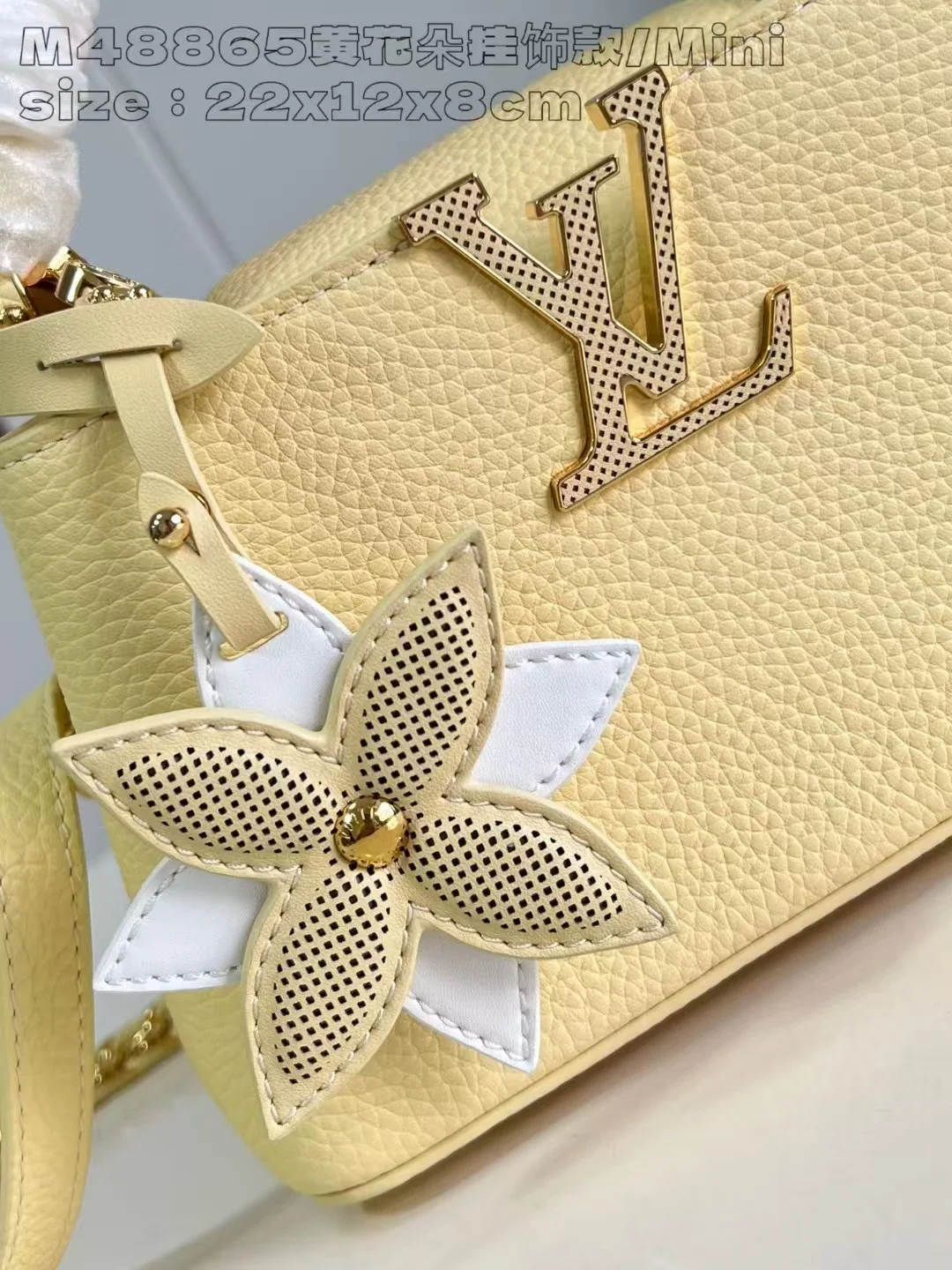 카퓌신 미니 (참 세트) 상세