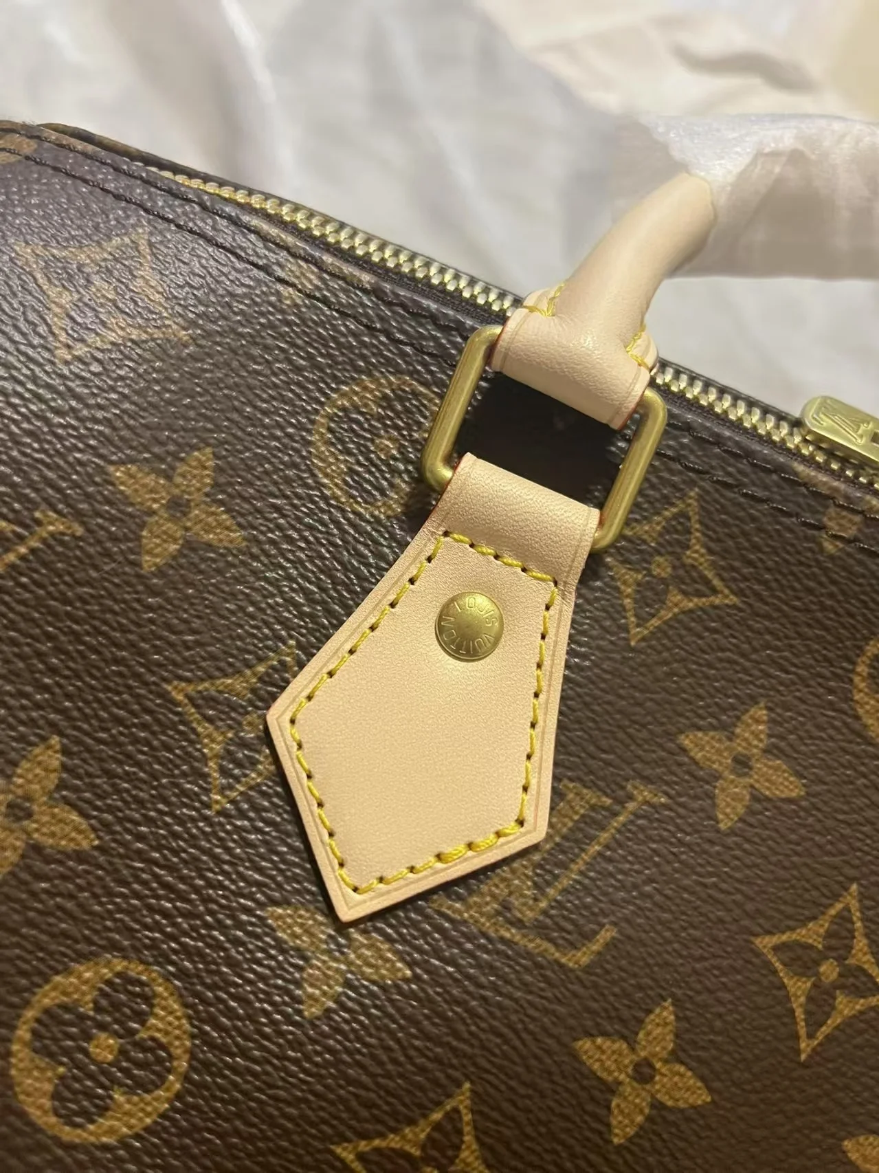 스피디 반둘리에 25 상세