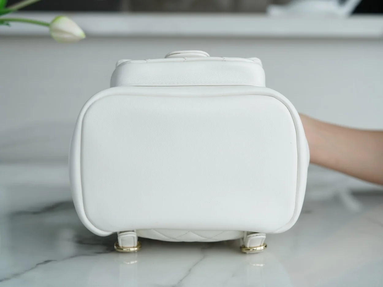 22C 듀마 백팩 스몰 샴페인 골드 상세