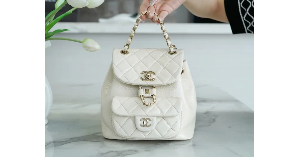 22C 듀마 백팩 상세