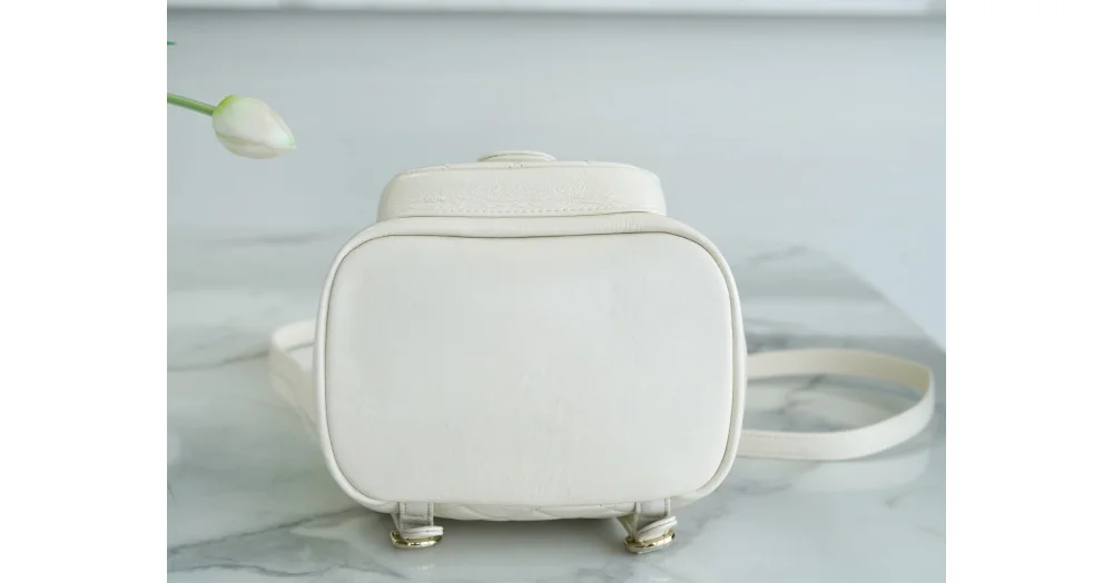 22C 듀마 백팩 상세