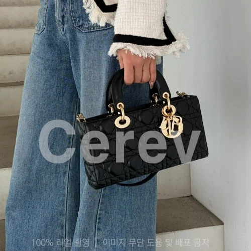 디조이백 스몰 (22 x 12 x 6cm)