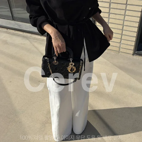 디조이백 스몰 (22 x 12 x 6cm) 3