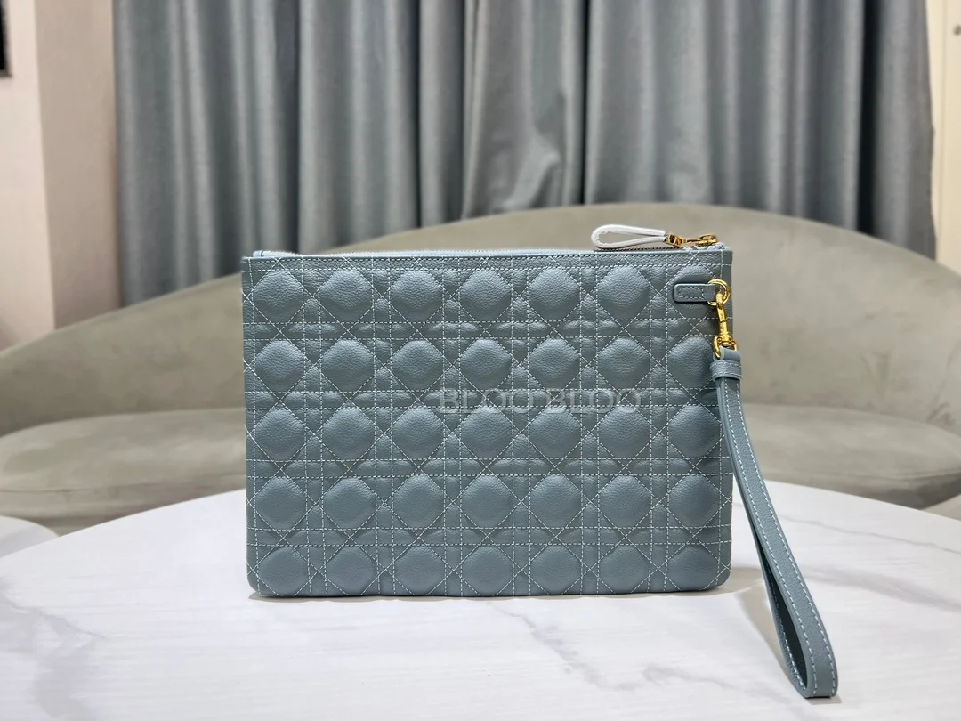 카로 라지 데일리 파우치 상세