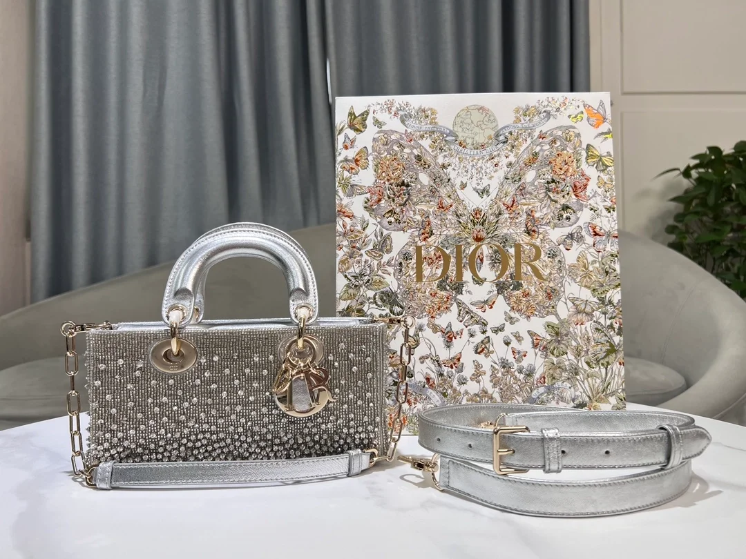 레이디 스몰 백 실버비즈 상세