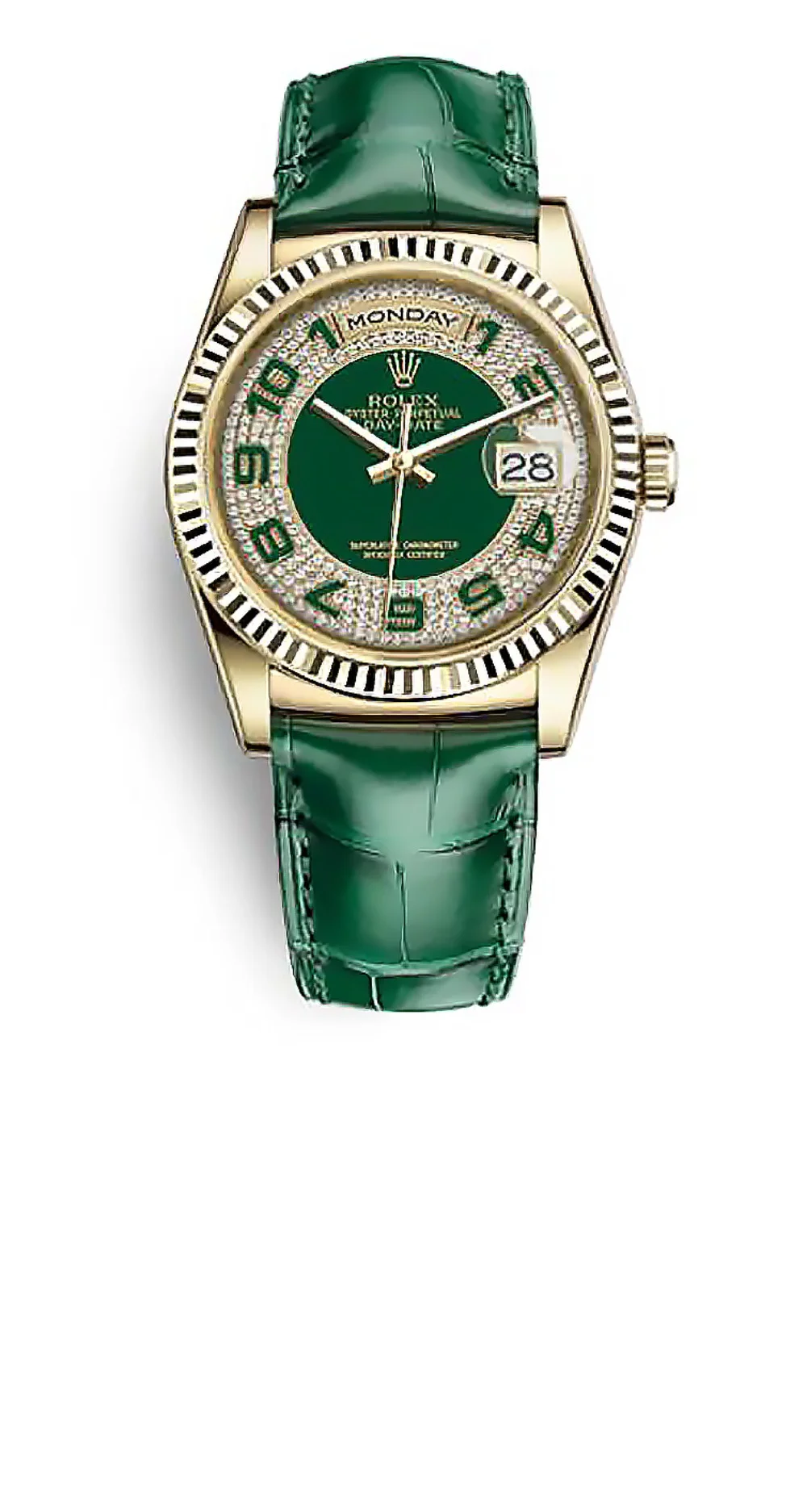 데이데이트 금통 40 상세