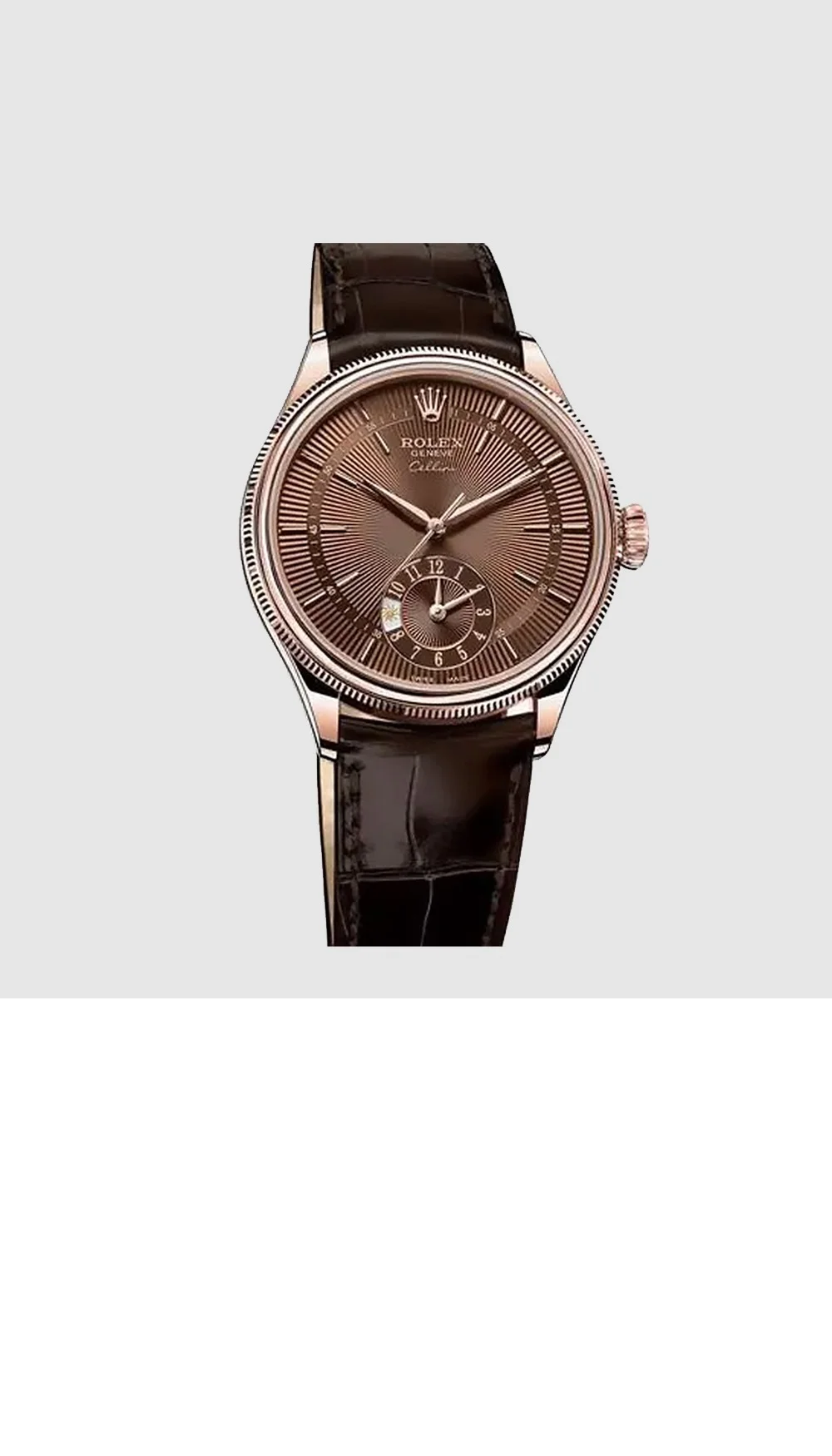 데이토나 39 상세