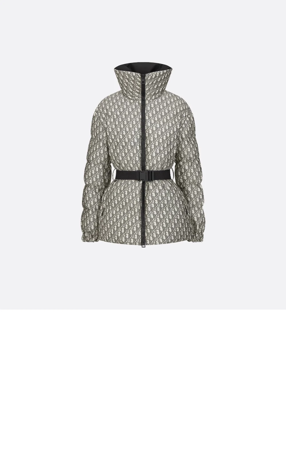 DiorAlps 벨트 푸퍼 재킷 상세