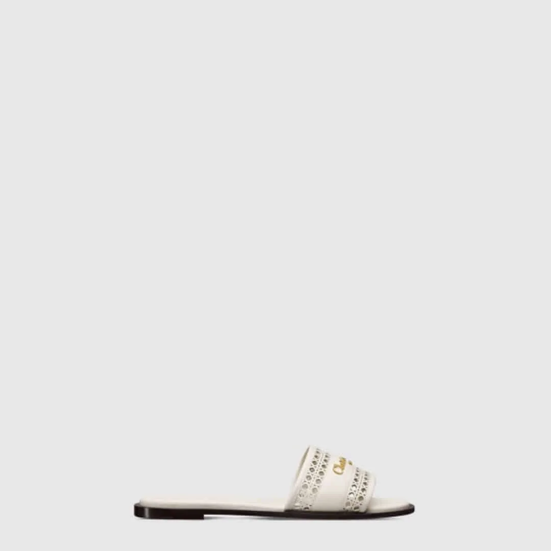 D-Lane 뮬 KCO157MLC