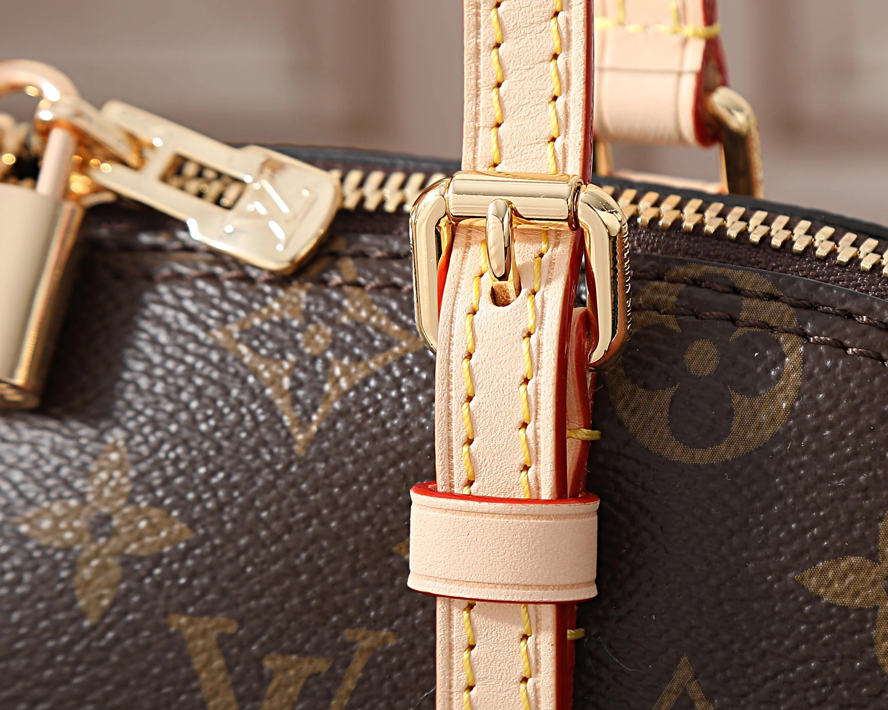 스콰이어 이스트 웨스트  29x14x8CM 상세