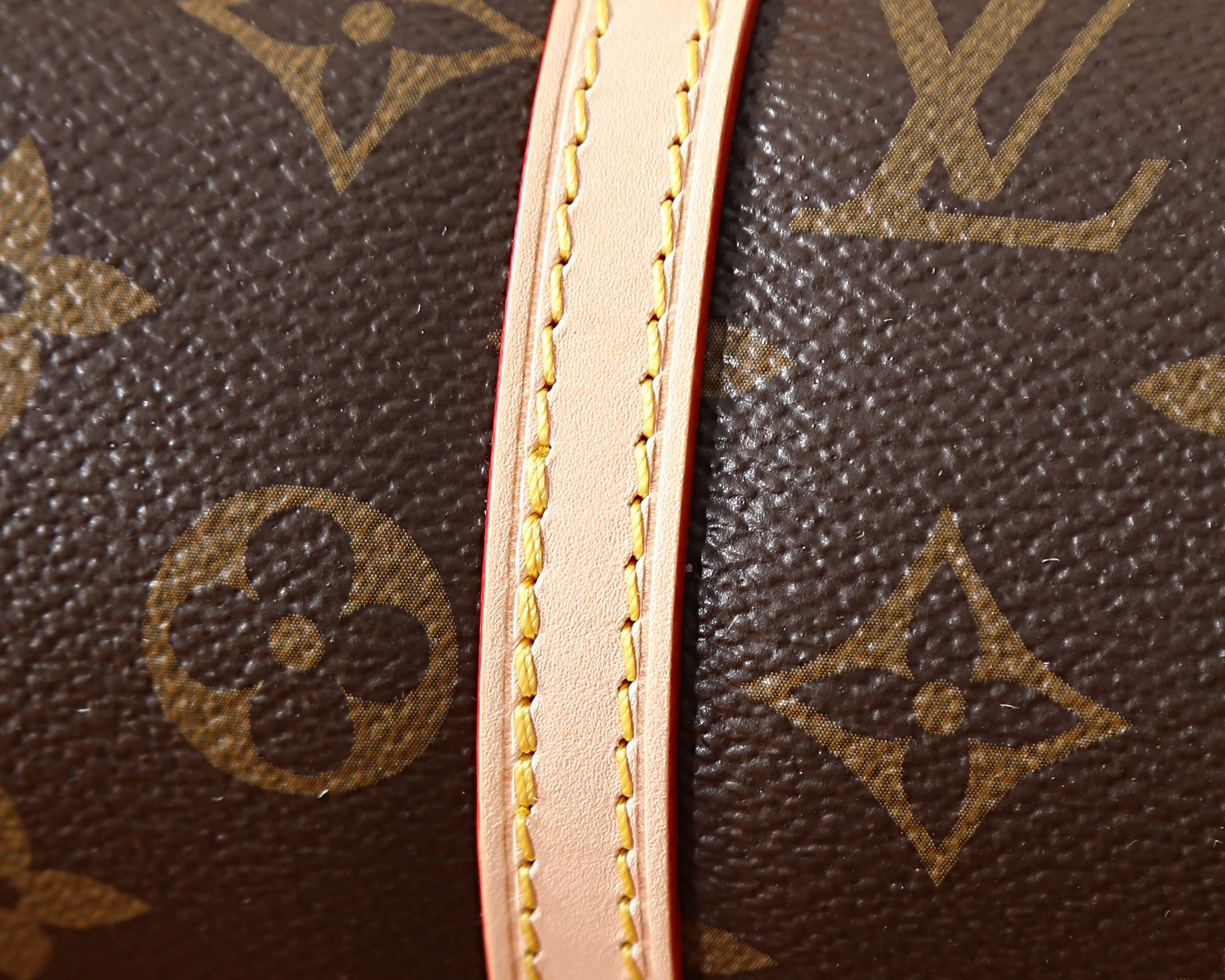 스콰이어 이스트 웨스트  29x14x8CM 상세