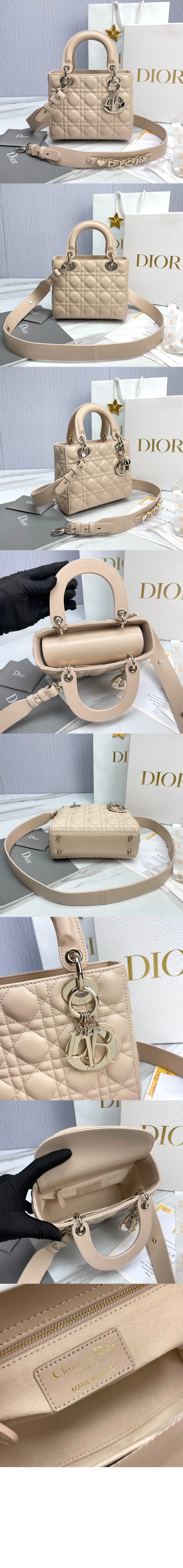 레이디 백 스몰 (7color) 상세