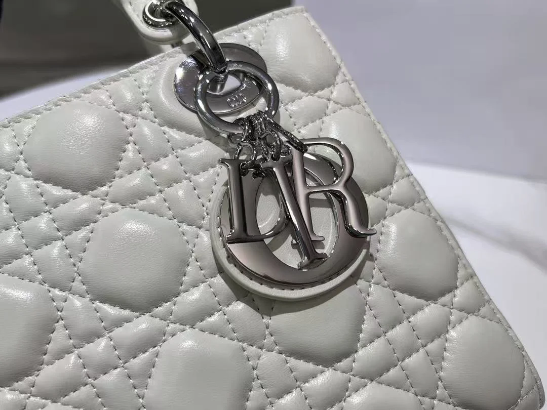 레이디 백 스몰 실버 상세