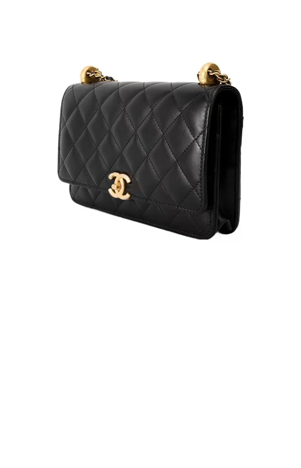 램스킨 WOC 블랙  (19.2cm X 12.3cm X 3.5cm) 상세