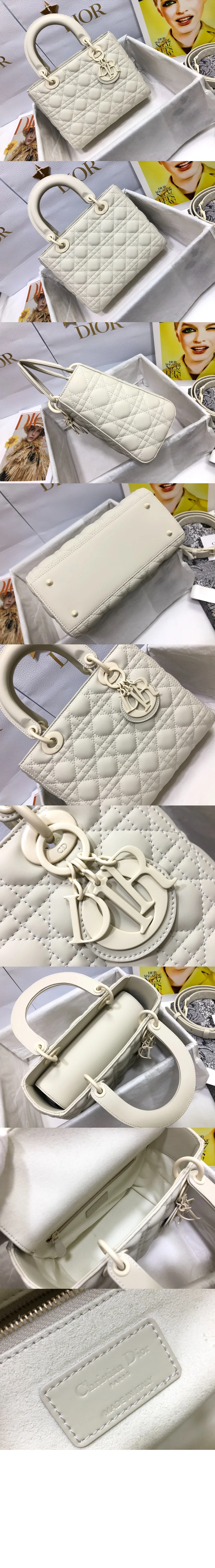 레이디백 디라이트 미디움 (24cm X 20cm X 11cm) 상세