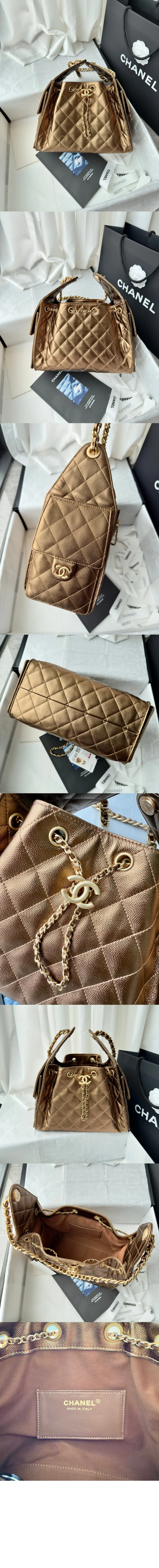 25c 뉴 호보백 스몰 상세